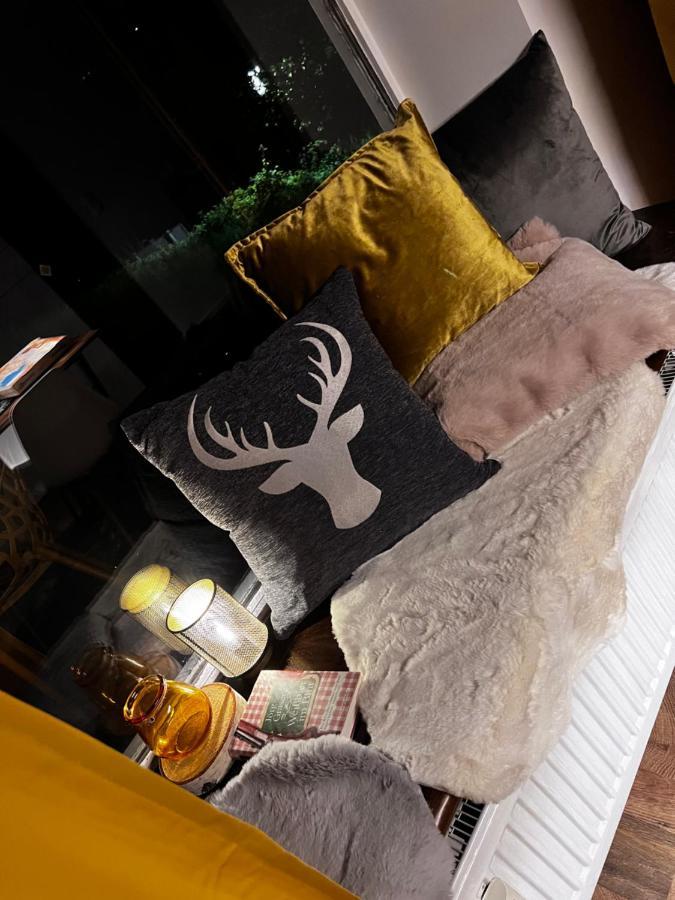 Bavaria Mountain Lodge Ski Arber Osser Bayrischer Wald Designer Ferienwohnung ローベルク エクステリア 写真