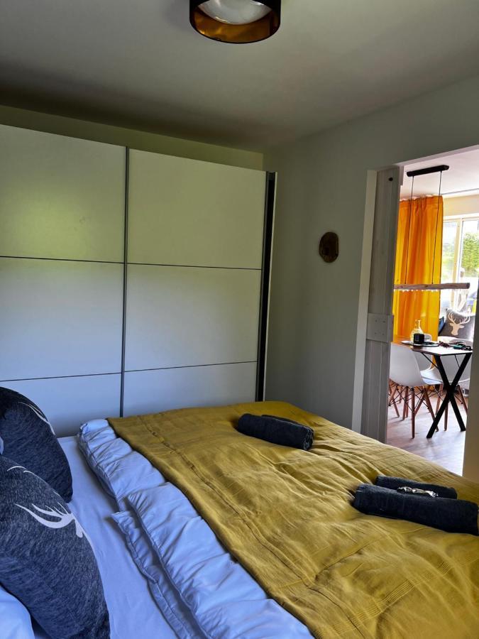 Bavaria Mountain Lodge Ski Arber Osser Bayrischer Wald Designer Ferienwohnung ローベルク エクステリア 写真